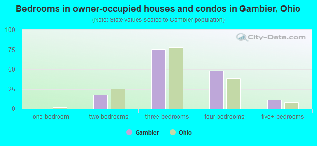 Bedrooms in owner-occupied houses and condos in Gambier, Ohio