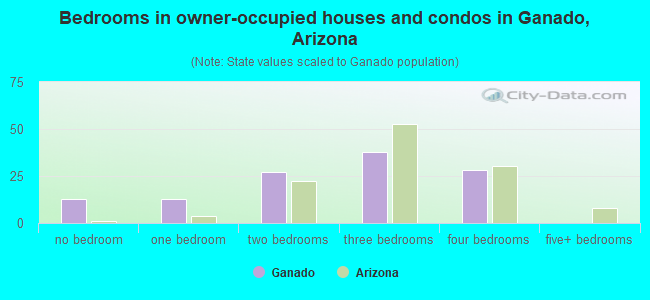 Bedrooms in owner-occupied houses and condos in Ganado, Arizona