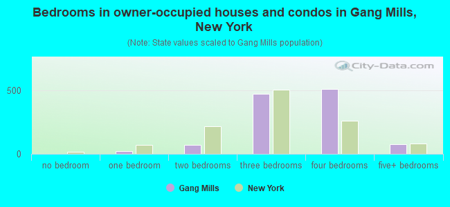 Bedrooms in owner-occupied houses and condos in Gang Mills, New York