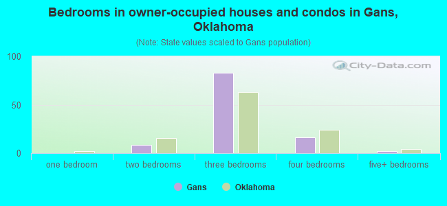 Bedrooms in owner-occupied houses and condos in Gans, Oklahoma