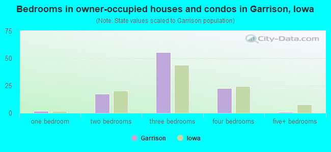 Bedrooms in owner-occupied houses and condos in Garrison, Iowa