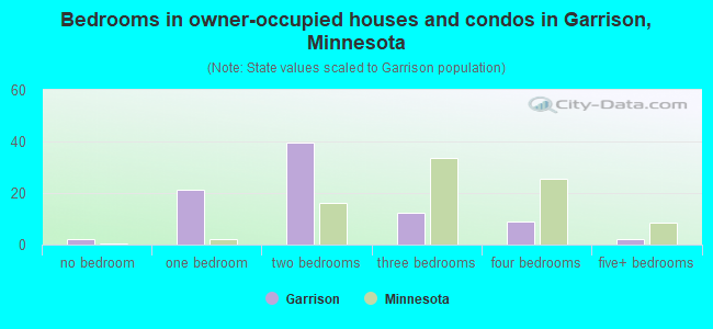 Bedrooms in owner-occupied houses and condos in Garrison, Minnesota