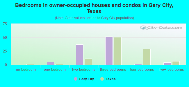 Bedrooms in owner-occupied houses and condos in Gary City, Texas