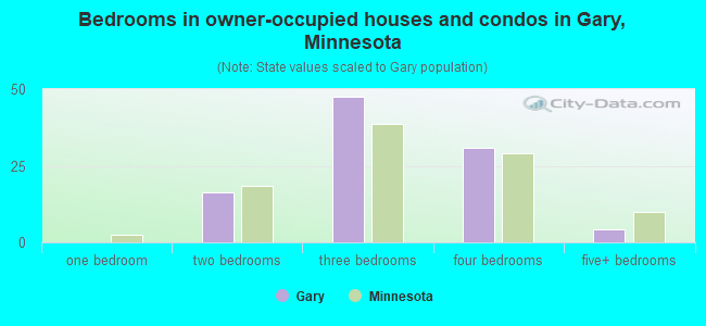 Bedrooms in owner-occupied houses and condos in Gary, Minnesota