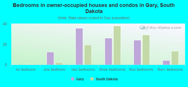 Bedrooms in owner-occupied houses and condos in Gary, South Dakota