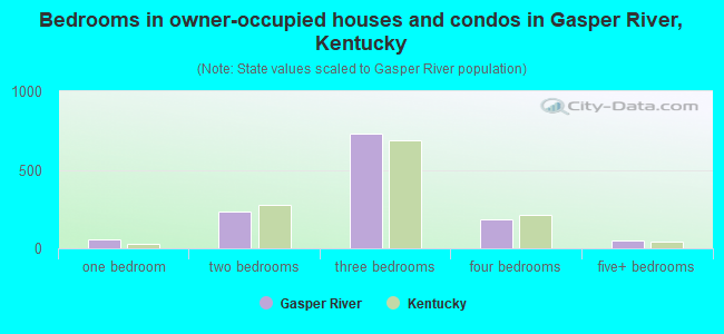 Bedrooms in owner-occupied houses and condos in Gasper River, Kentucky