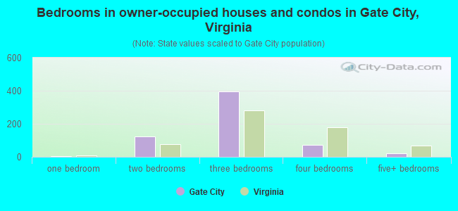 Bedrooms in owner-occupied houses and condos in Gate City, Virginia