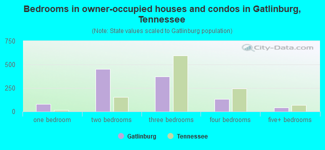 Bedrooms in owner-occupied houses and condos in Gatlinburg, Tennessee