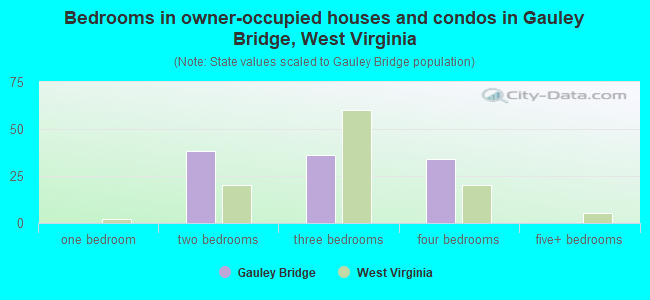 Bedrooms in owner-occupied houses and condos in Gauley Bridge, West Virginia