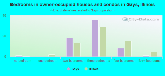 Bedrooms in owner-occupied houses and condos in Gays, Illinois