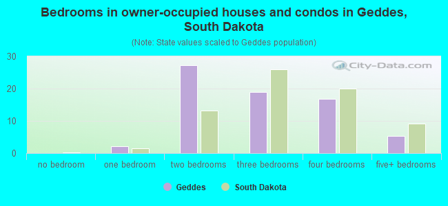 Bedrooms in owner-occupied houses and condos in Geddes, South Dakota