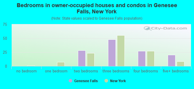 Bedrooms in owner-occupied houses and condos in Genesee Falls, New York