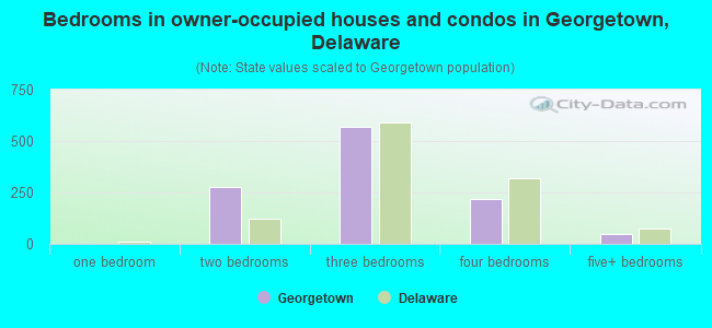 Bedrooms in owner-occupied houses and condos in Georgetown, Delaware