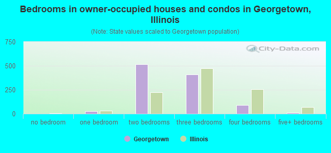 Bedrooms in owner-occupied houses and condos in Georgetown, Illinois
