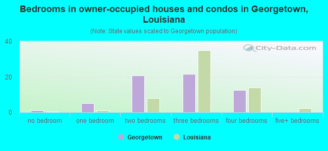 Bedrooms in owner-occupied houses and condos in Georgetown, Louisiana