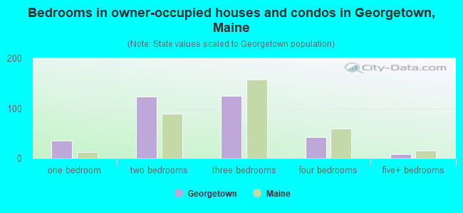 Bedrooms in owner-occupied houses and condos in Georgetown, Maine