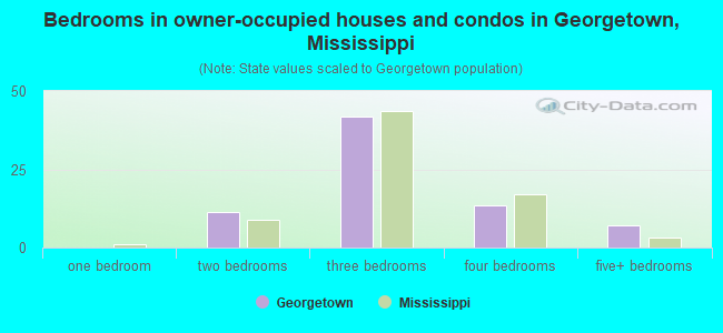 Bedrooms in owner-occupied houses and condos in Georgetown, Mississippi