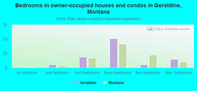 Bedrooms in owner-occupied houses and condos in Geraldine, Montana