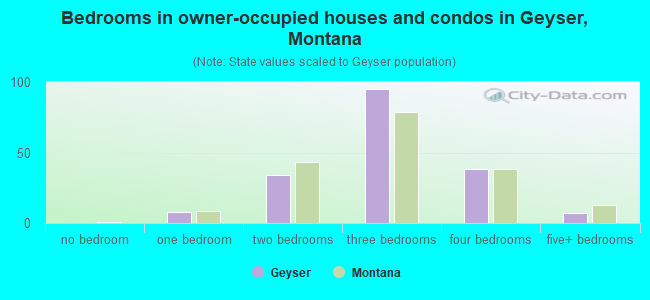 Bedrooms in owner-occupied houses and condos in Geyser, Montana