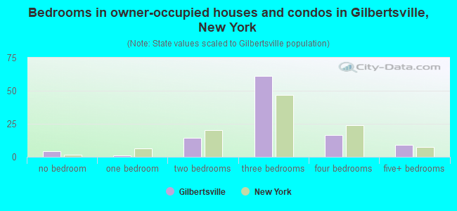 Bedrooms in owner-occupied houses and condos in Gilbertsville, New York