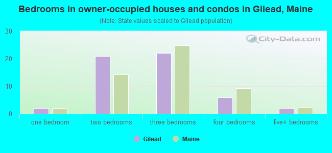 Bedrooms in owner-occupied houses and condos in Gilead, Maine