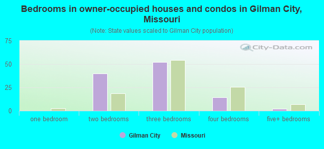 Bedrooms in owner-occupied houses and condos in Gilman City, Missouri