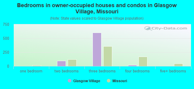 Bedrooms in owner-occupied houses and condos in Glasgow Village, Missouri