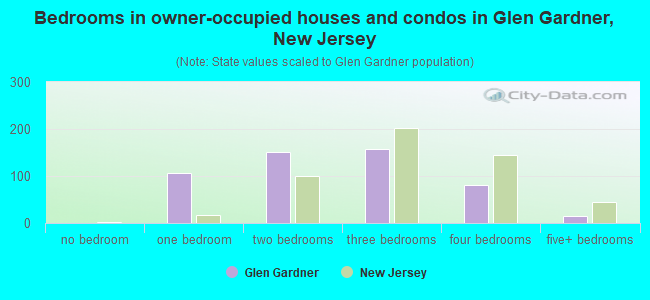 Bedrooms in owner-occupied houses and condos in Glen Gardner, New Jersey