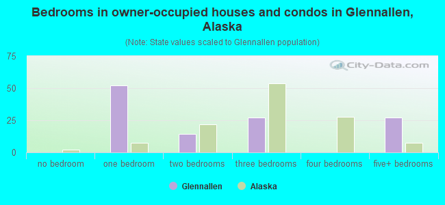 Bedrooms in owner-occupied houses and condos in Glennallen, Alaska