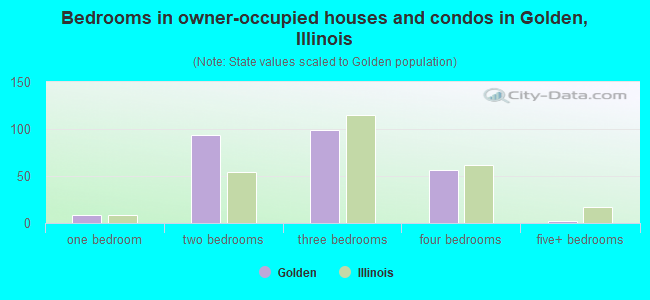 Bedrooms in owner-occupied houses and condos in Golden, Illinois