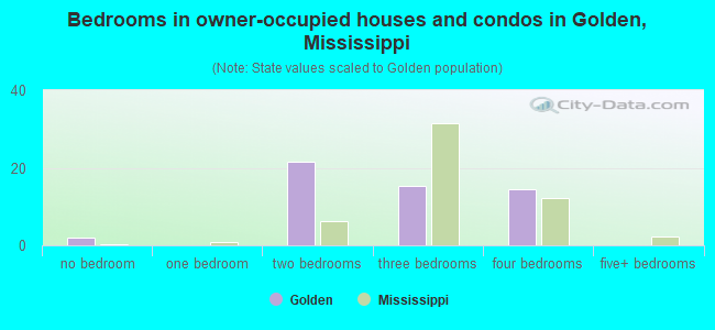 Bedrooms in owner-occupied houses and condos in Golden, Mississippi