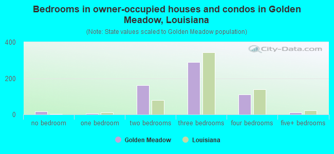 Bedrooms in owner-occupied houses and condos in Golden Meadow, Louisiana