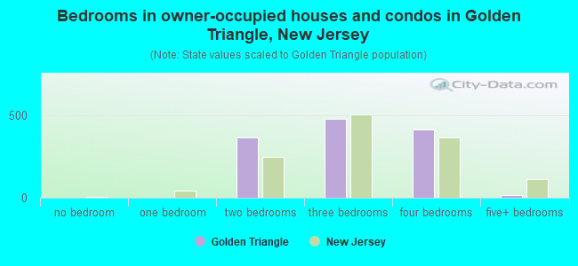 Bedrooms in owner-occupied houses and condos in Golden Triangle, New Jersey