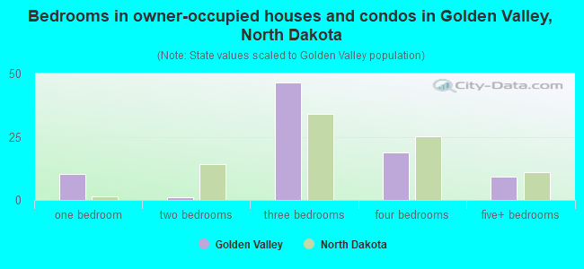 Bedrooms in owner-occupied houses and condos in Golden Valley, North Dakota
