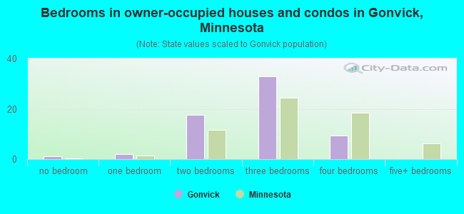 Bedrooms in owner-occupied houses and condos in Gonvick, Minnesota