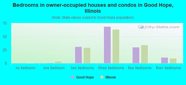 Bedrooms in owner-occupied houses and condos in Good Hope, Illinois