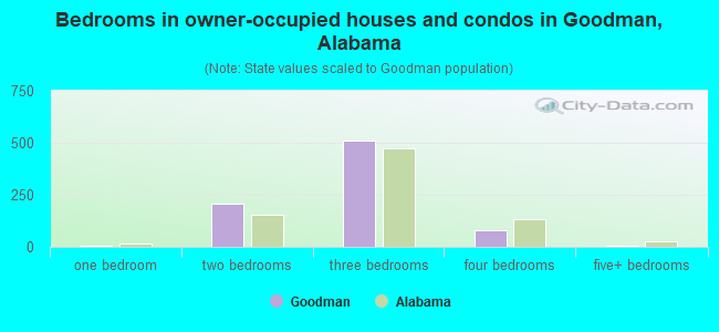 Bedrooms in owner-occupied houses and condos in Goodman, Alabama