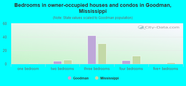 Bedrooms in owner-occupied houses and condos in Goodman, Mississippi