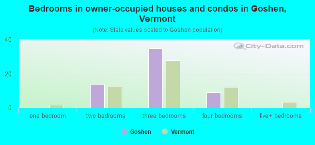 Bedrooms in owner-occupied houses and condos in Goshen, Vermont