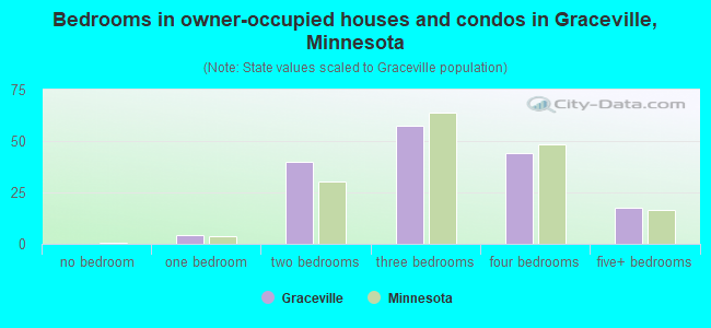 Bedrooms in owner-occupied houses and condos in Graceville, Minnesota