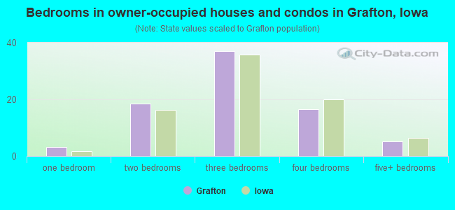 Bedrooms in owner-occupied houses and condos in Grafton, Iowa