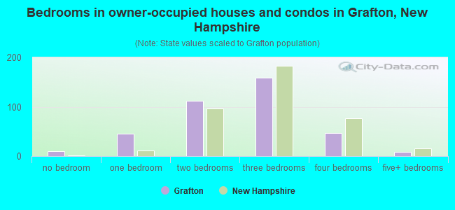 Bedrooms in owner-occupied houses and condos in Grafton, New Hampshire
