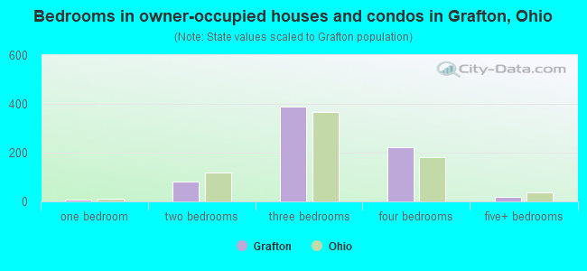 Bedrooms in owner-occupied houses and condos in Grafton, Ohio