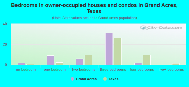 Bedrooms in owner-occupied houses and condos in Grand Acres, Texas