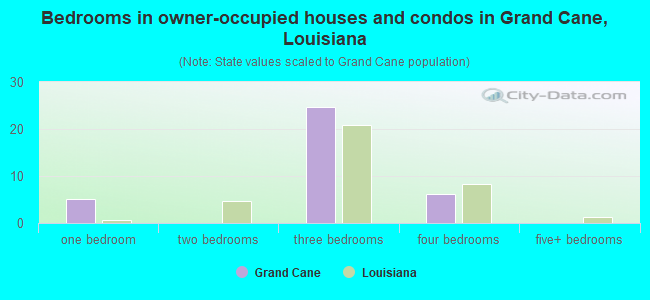 Bedrooms in owner-occupied houses and condos in Grand Cane, Louisiana