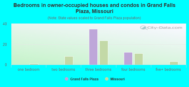 Bedrooms in owner-occupied houses and condos in Grand Falls Plaza, Missouri