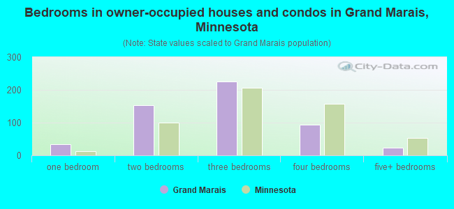 Bedrooms in owner-occupied houses and condos in Grand Marais, Minnesota
