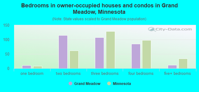 Bedrooms in owner-occupied houses and condos in Grand Meadow, Minnesota