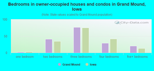Bedrooms in owner-occupied houses and condos in Grand Mound, Iowa