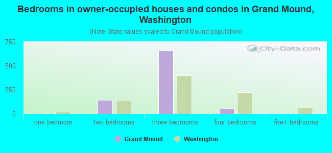 Bedrooms in owner-occupied houses and condos in Grand Mound, Washington